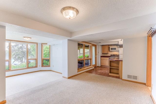 3310 Lake Johanna Blvd, Arden Hills, MN 55112 - unfurnished living room featuring light carpet, baseboards, and a textured ceiling
