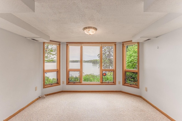 3310 Lake Johanna Blvd, Arden Hills, MN 55112 - unfurnished room featuring a water view, light colored carpet, baseboards, and a textured ceiling