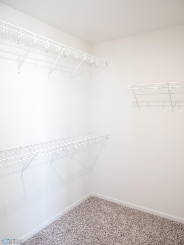 6735 Meadow View Dr S, Fargo, ND 58104 - spacious closet with carpet flooring