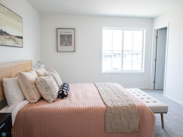 6735 Meadow View Dr S, Fargo, ND 58104 - carpeted bedroom featuring baseboards