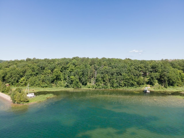 TBDLotC Ann Marie Lane Nw, Walker, MN 56484