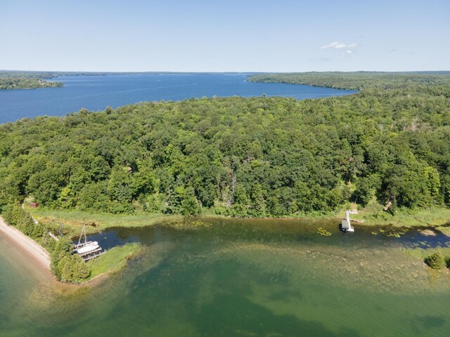 TBDLotC Ann Marie Lane Nw, Walker, MN 56484