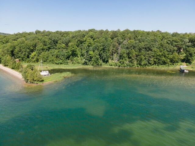 TBDLotC Ann Marie Lane Nw, Walker, MN 56484