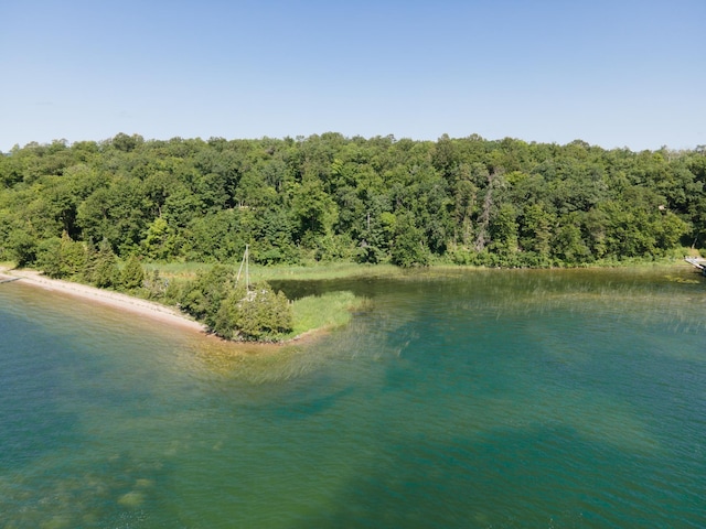 TBDLotC Ann Marie Lane Nw, Walker, MN 56484