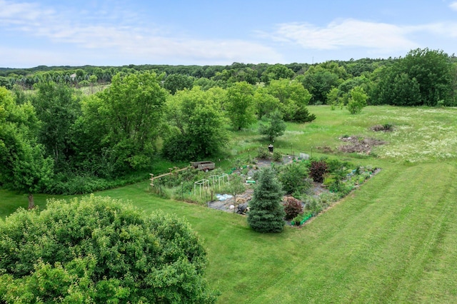 25910 110th St NW, Zimmerman, MN 55398 - photo 152