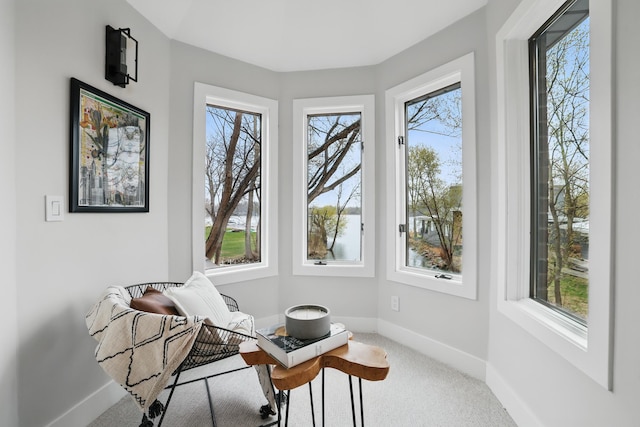 211 Peninsula Rd, Medicine Lake, MN 55441 - living area featuring plenty of natural light, baseboards, and carpet floors