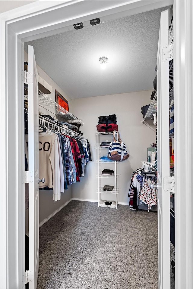 spacious closet with carpet