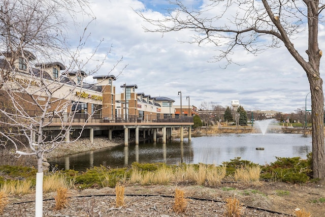 13560 Technology Dr Unit 1302, Eden Prairie, MN 55344 - dock featuring a water view