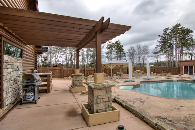 E6516 867th Ave, Colfax, WI 54730 - view of pool featuring a patio, a fenced backyard, a pergola, and area for grilling