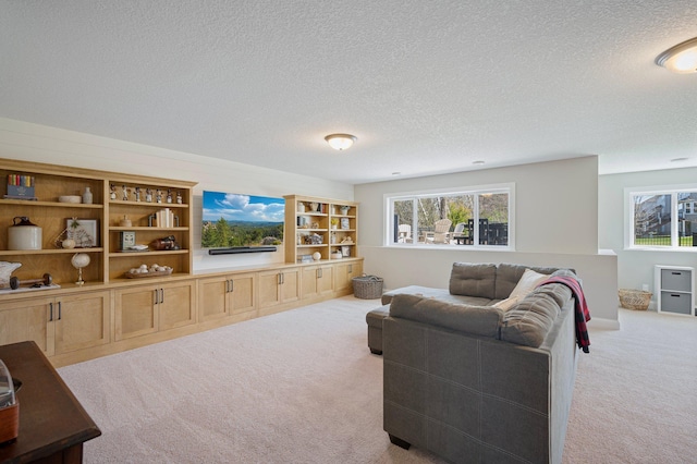 12816 Cedar Ridge Ln, Champlin, MN 55316 - living room with carpet flooring and a textured ceiling
