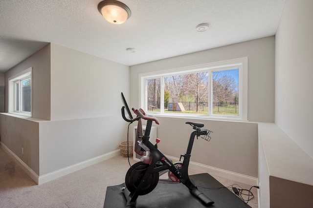 12816 Cedar Ridge Ln, Champlin, MN 55316 - exercise room featuring plenty of natural light, carpet floors, and a textured ceiling