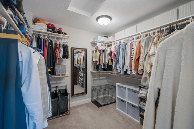 12816 Cedar Ridge Ln, Champlin, MN 55316 - spacious closet featuring carpet floors
