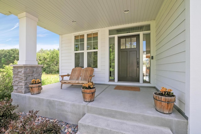 12816 Cedar Ridge Ln, Champlin, MN 55316 - view of exterior entry featuring a porch