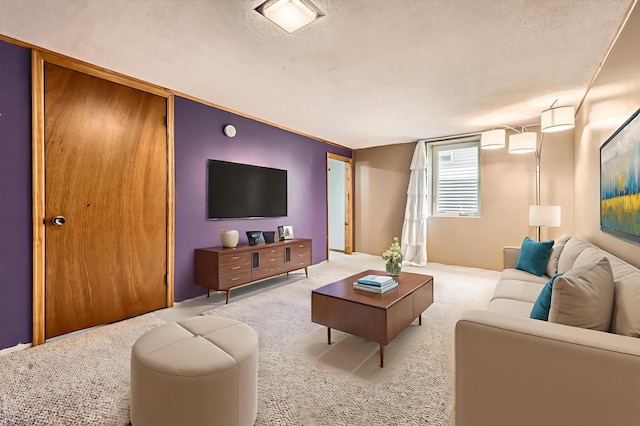 11352 Olive St NW, Coon Rapids, MN 55448 - carpeted living area with a textured ceiling