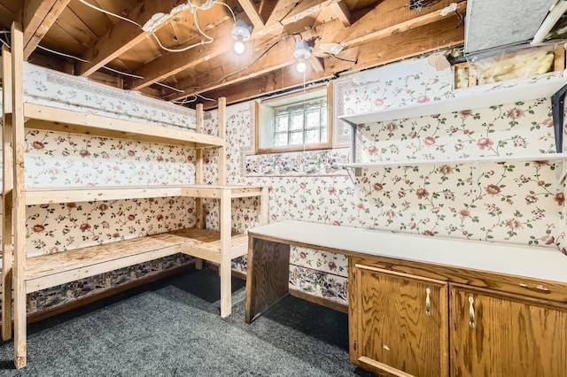 11352 Olive St NW, Coon Rapids, MN 55448 - view of storage area