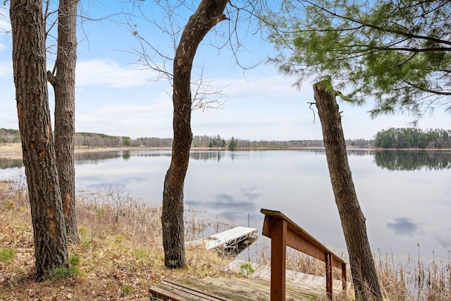 view of water feature with a boat dock