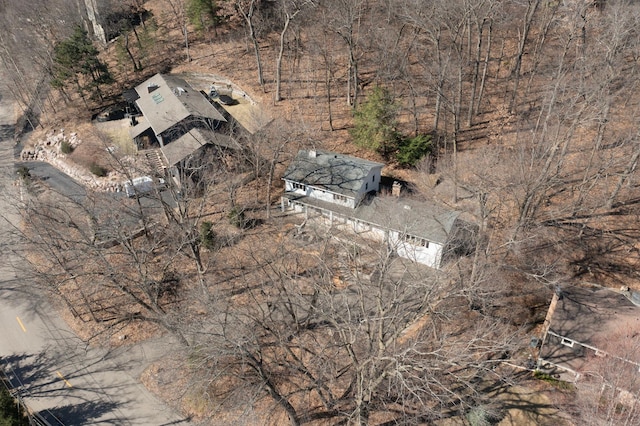 bird's eye view