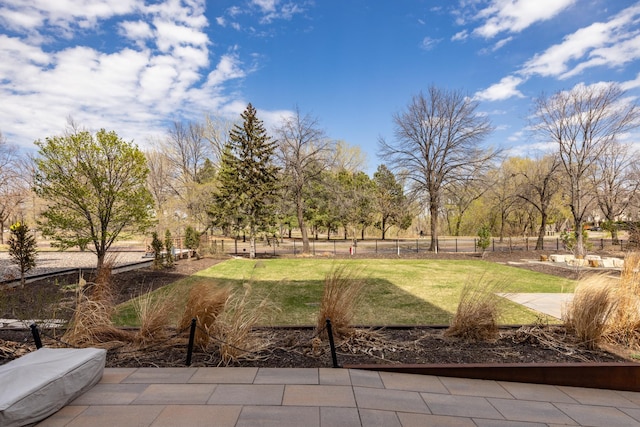 702 1st St Unit 521, Minneapolis, MN 55401 - photo 17