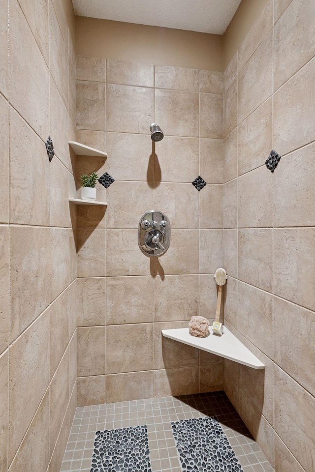 1656 Isabella Pkwy, Chaska, MN 55318 - full bath with a tile shower