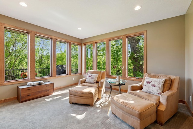 1656 Isabella Pkwy, Chaska, MN 55318 - sunroom with baseboards, carpet flooring, and recessed lighting