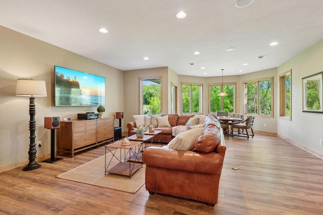1656 Isabella Pkwy, Chaska, MN 55318 - living room featuring baseboards, recessed lighting, wood finished floors, and a textured ceiling