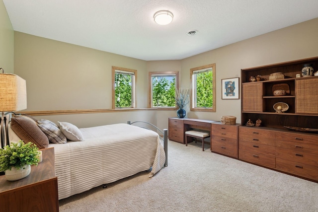 1656 Isabella Pkwy, Chaska, MN 55318 - bedroom featuring carpet
