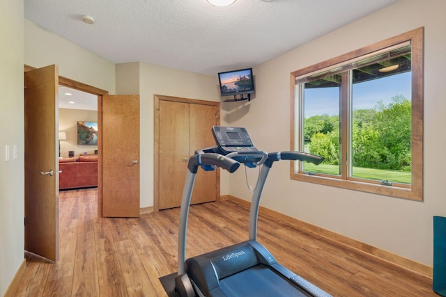 1656 Isabella Pkwy, Chaska, MN 55318 - workout room with light wood-style floors, baseboards, and a textured ceiling