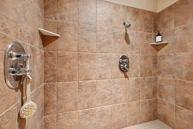 1656 Isabella Pkwy, Chaska, MN 55318 - full bathroom featuring a tile shower