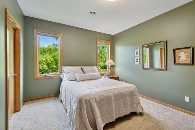 1656 Isabella Pkwy, Chaska, MN 55318 - carpeted bedroom featuring multiple windows and baseboards