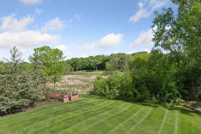 1656 Isabella Pkwy, Chaska, MN 55318 - view of green lawn with a garden