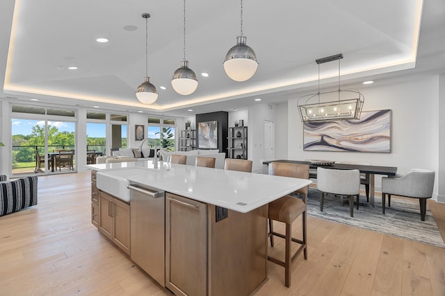 kitchen with a tray ceiling, a sink, light wood-style floors, and dishwasher
