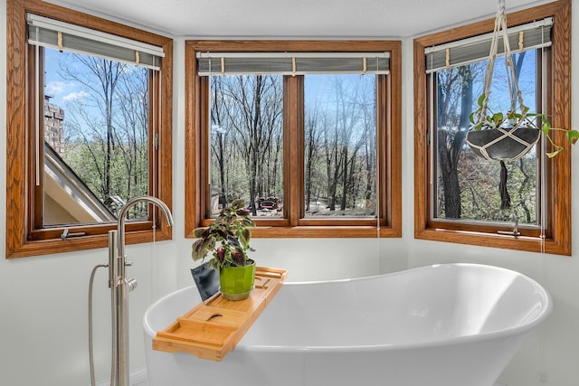 full bath with a freestanding bath and a wealth of natural light