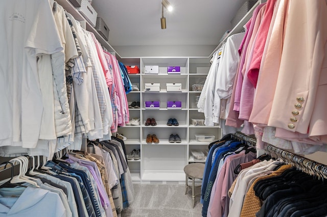 view of spacious closet
