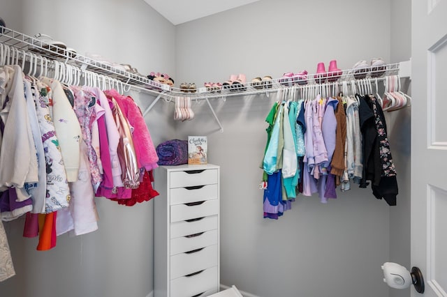 view of walk in closet