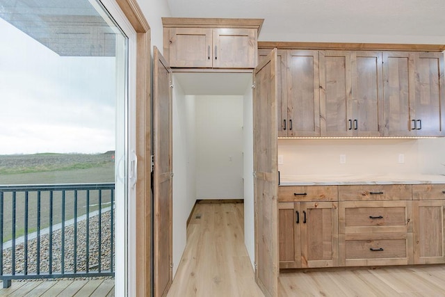 kitchen with light countertops and light wood-style flooring