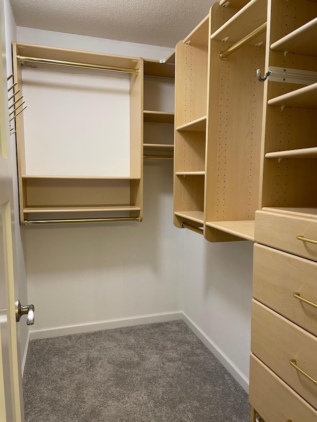 spacious closet with carpet flooring