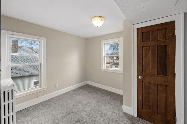 interior space featuring baseboards, carpet, and a textured ceiling