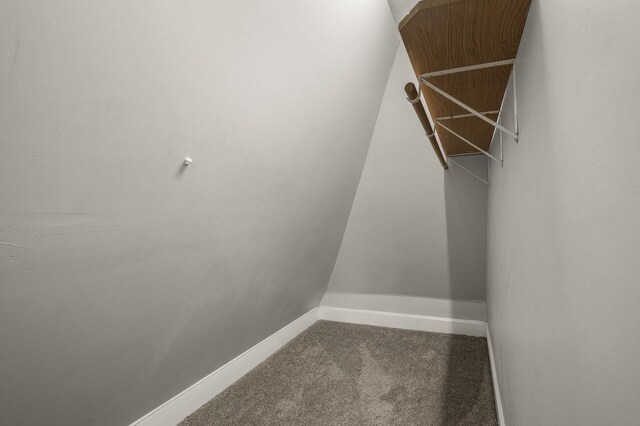 walk in closet featuring carpet