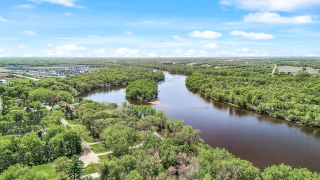 9158 Collins Dr NW, Ramsey, MN 55303 - drone / aerial view of a heavily wooded area and a nearby body of water