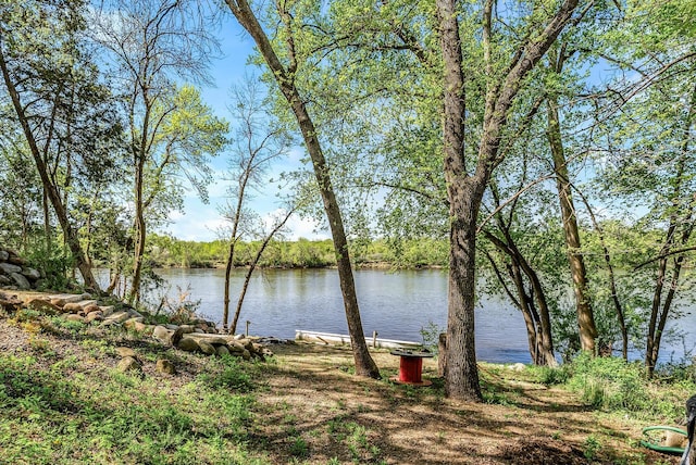 9158 Collins Dr NW, Ramsey, MN 55303 - water view