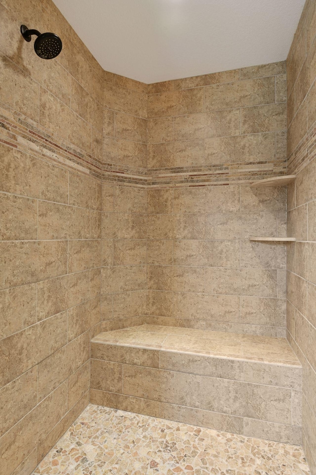 2919 Hilltop Dr, Chaska, MN 55318 - bathroom with a tile shower