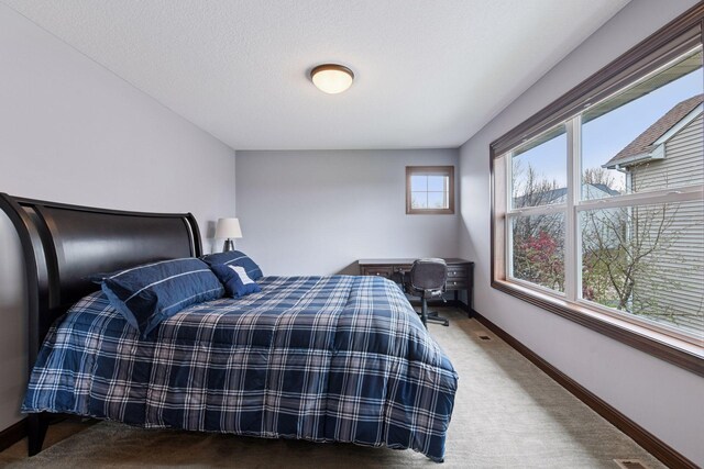 2919 Hilltop Dr, Chaska, MN 55318 - carpeted bedroom with baseboards