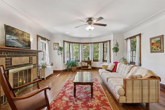 living area featuring ceiling fan, wood-type flooring, radiator heating unit, and baseboards