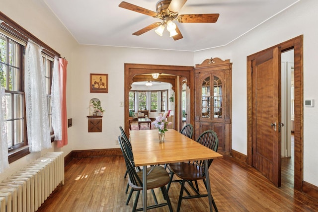dining space featuring radiator, a ceiling fan, baseboards, and hardwood / wood-style floors