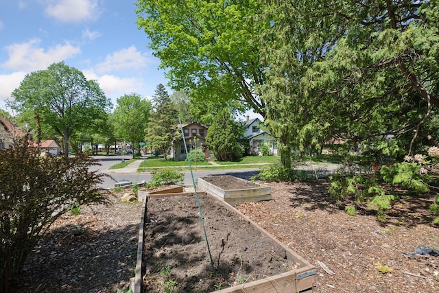 view of yard with a vegetable garden