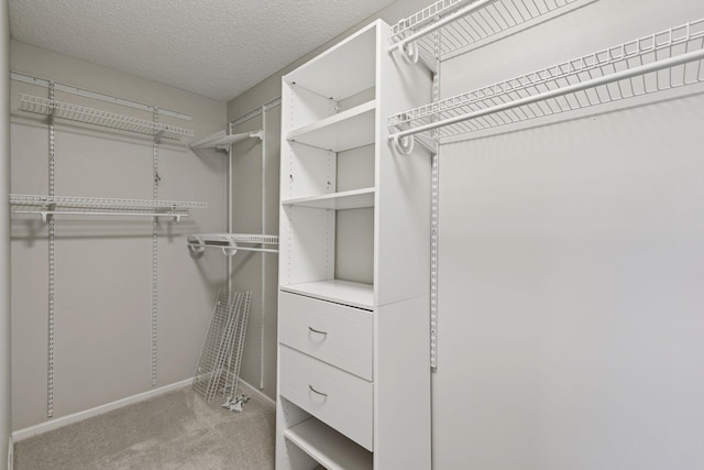 walk in closet with light colored carpet