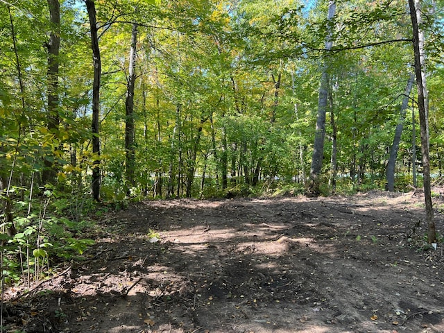 TBD Ski Gull Ln SW, Nisswa, MN 56468