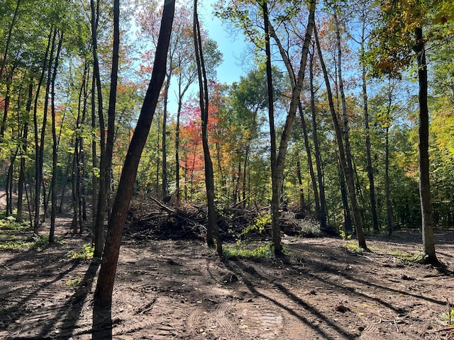 TBD Ski Gull Ln SW, Nisswa, MN 56468