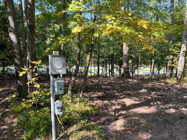 TBD Ski Gull Ln SW, Nisswa, MN 56468