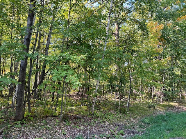 TBD Ski Gull Ln SW, Nisswa, MN 56468